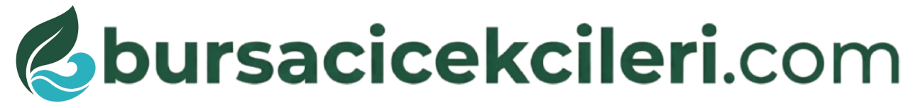 Bursa Çiçekçileri